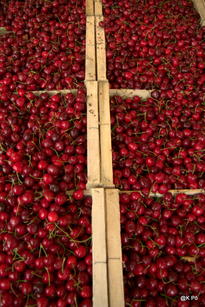 les mardis de la poésie : le temps des cerises (Jean Baptiste Clément)