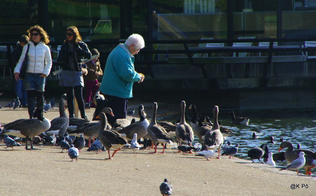 Étendre la lascive (épisode 7) : une pause et une idée de résolution de l’intrigue