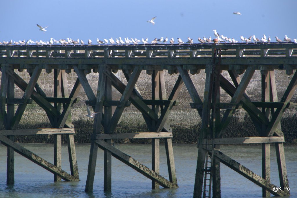 A chacun son cancer, il suffit de trouver celui qui n&rsquo;est pas encore sur la liste&nbsp;!