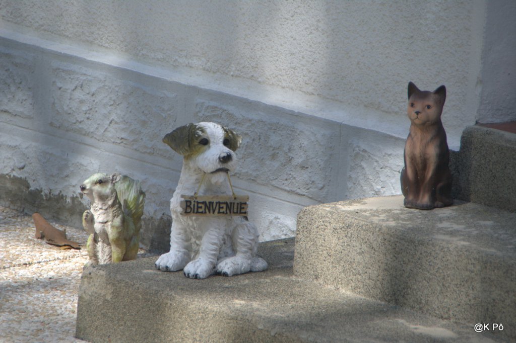 Ils ont gobé les nains de jardin&nbsp;!