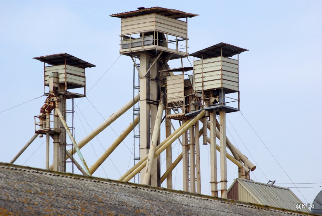 palombes d&rsquo;un doute