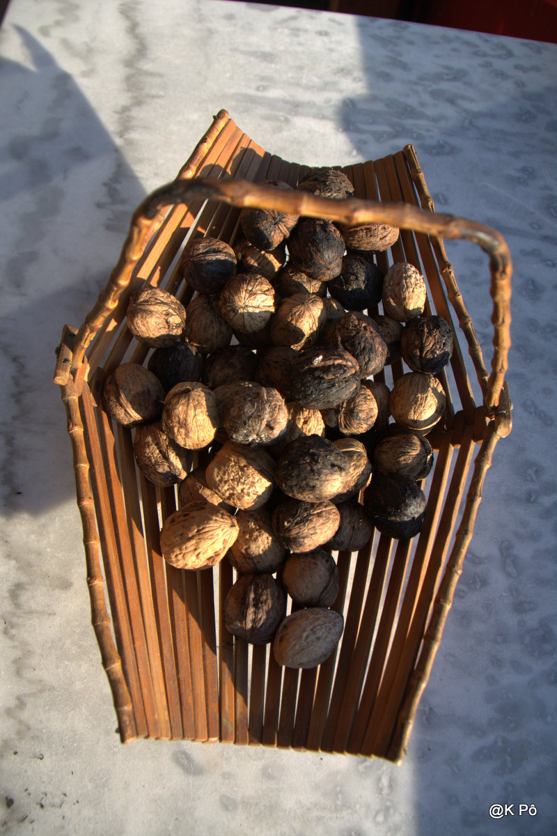 A Montpellier, on gaule les noix&nbsp;!