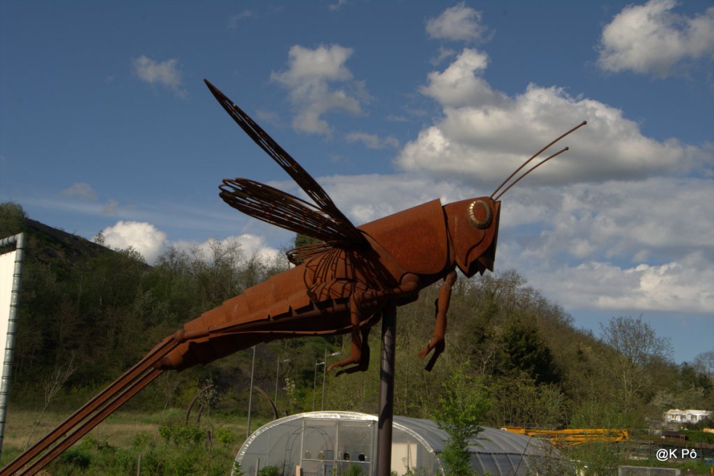 Prospectives pour demain : les criquets pélerins à l&rsquo;assaut des terrains de cricket anglais&nbsp;?