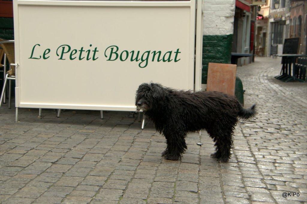 Stéphane de Groodt ,&nbsp;humoriste