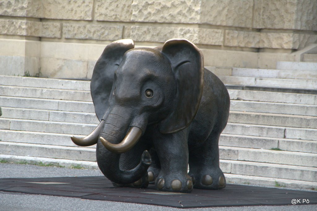 cimetière des éléphants