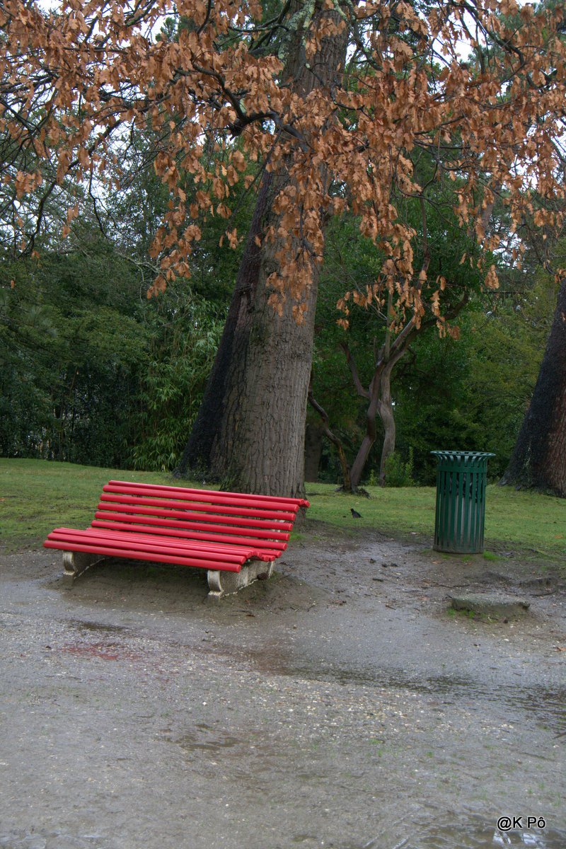 les mardis de la poésie : Rainer Maria Rilke (1875-1926)