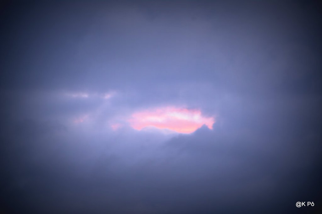 sciences sans frontières