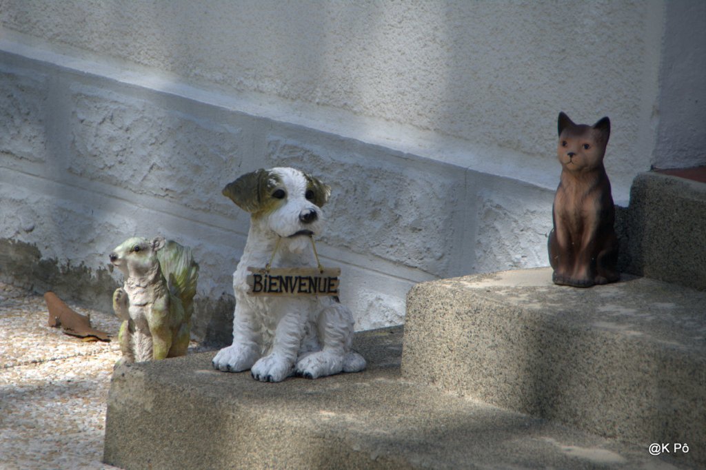 la petite photo ringarde du dimanche&nbsp;(soir)