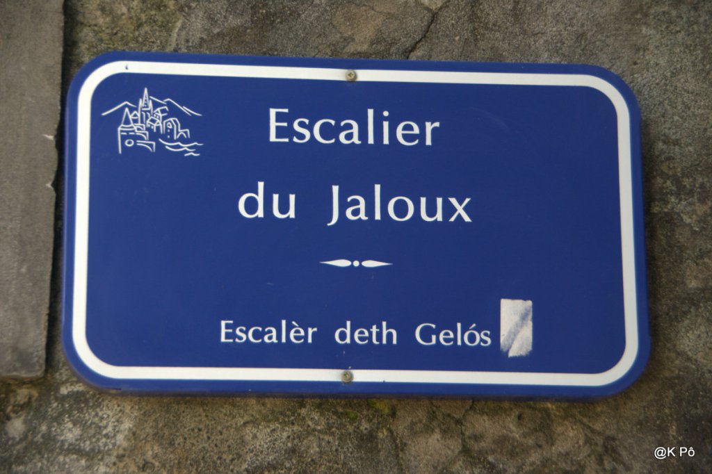 les vrais singes ne montent pas aux arbres (nouvelle&nbsp;acrobatique)