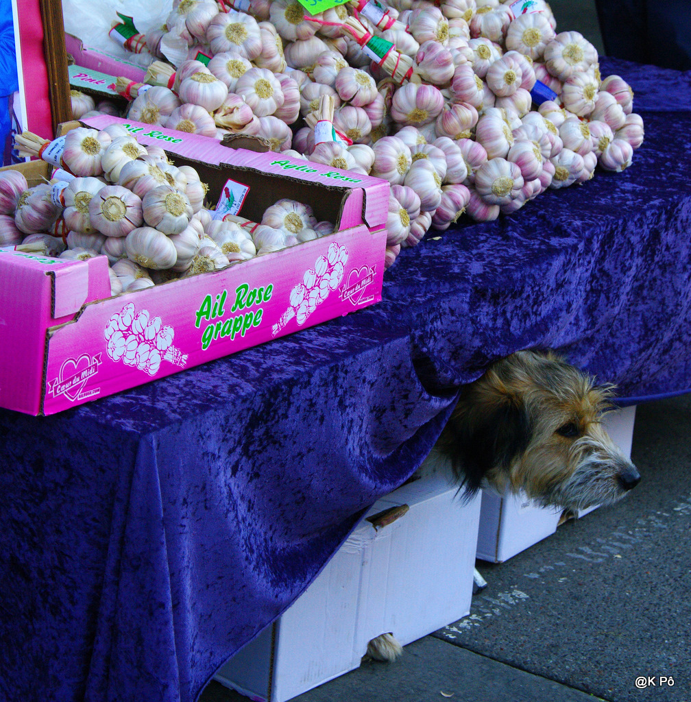 Aujourd’hui, lecture.