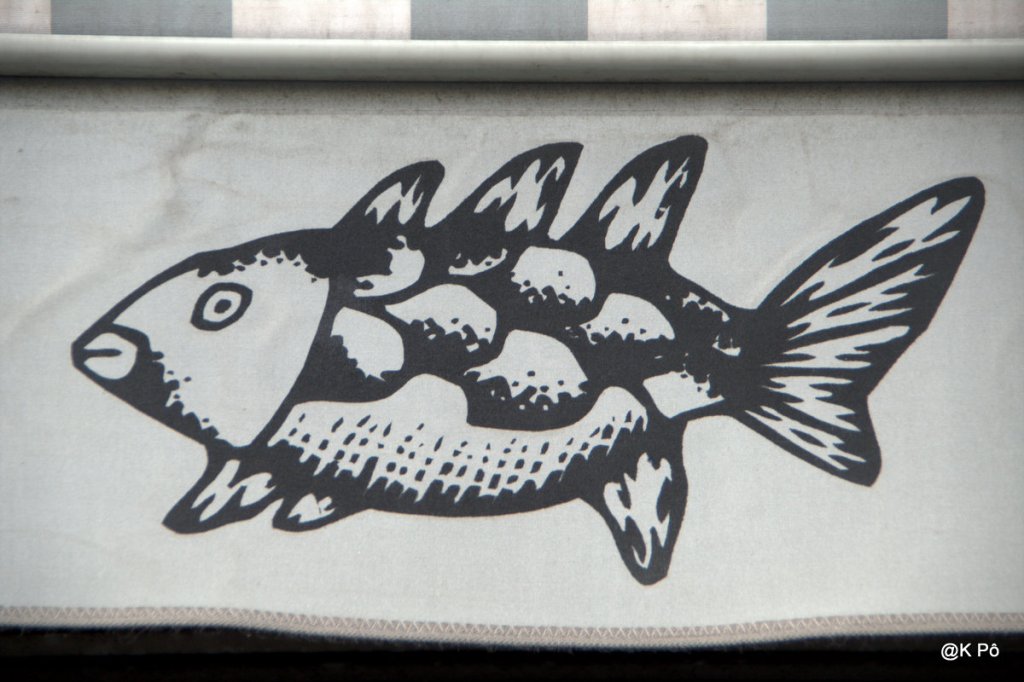 l&rsquo;envol des calamars le soir, en baie de&nbsp;Tokyo…