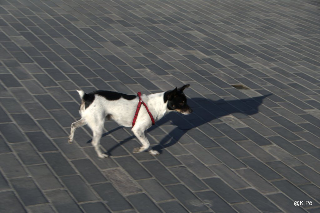 World press photo 2013, les meilleurs photojournalistes, yes !