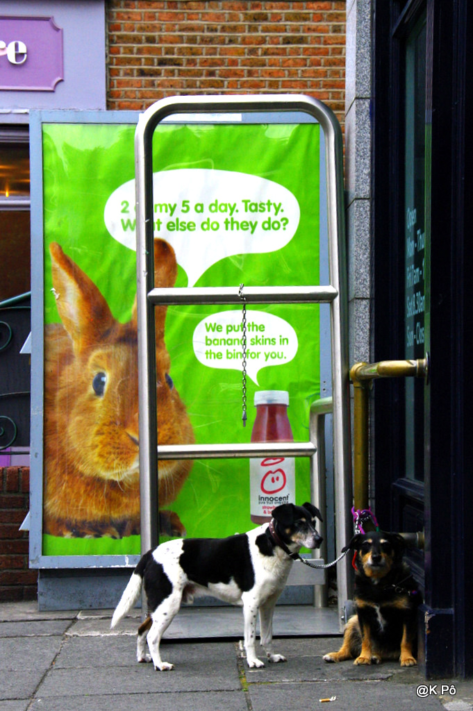 les témoignages du temps présent : Maria Dolorès, dite&nbsp;Dodo