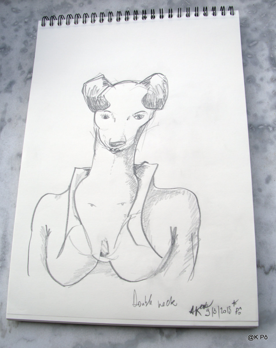 10 mars 2013 : journée internationale du toutou à sa mémère (sponsorisé par le Petit Karouge&nbsp;Illustré)