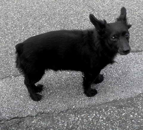 diaporama extrait du journal » Le Matin » : le Monde en images