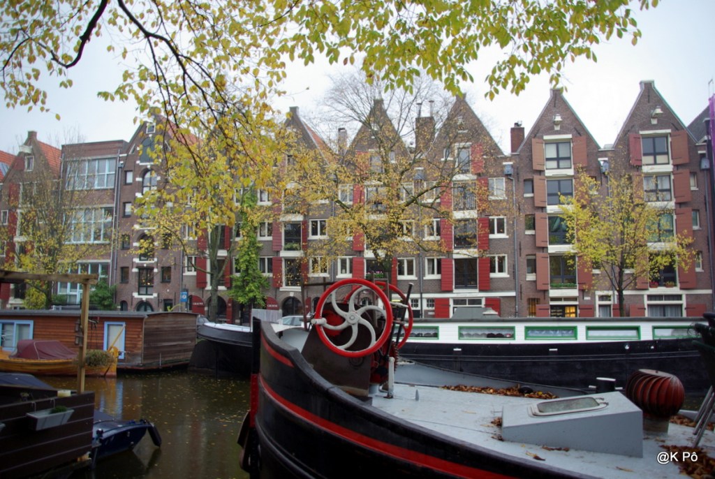 Tous les oiseaux se posent un jour à Amsterdam (série)