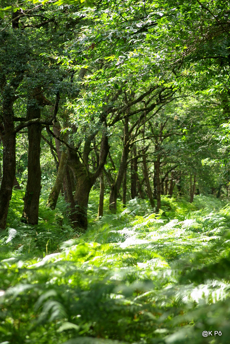 On t’attend, pour manger ?