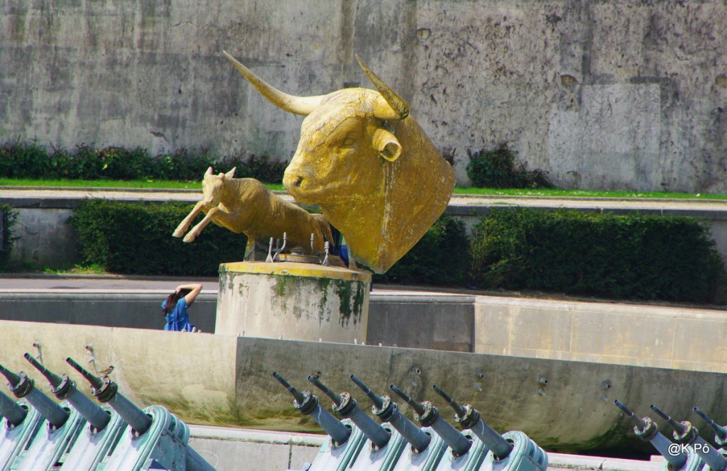 You want a sheep ? Do it yourself !