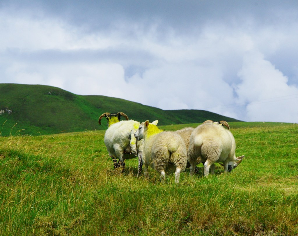 Des scientifiques aux idées lumineuses, en Uruguay