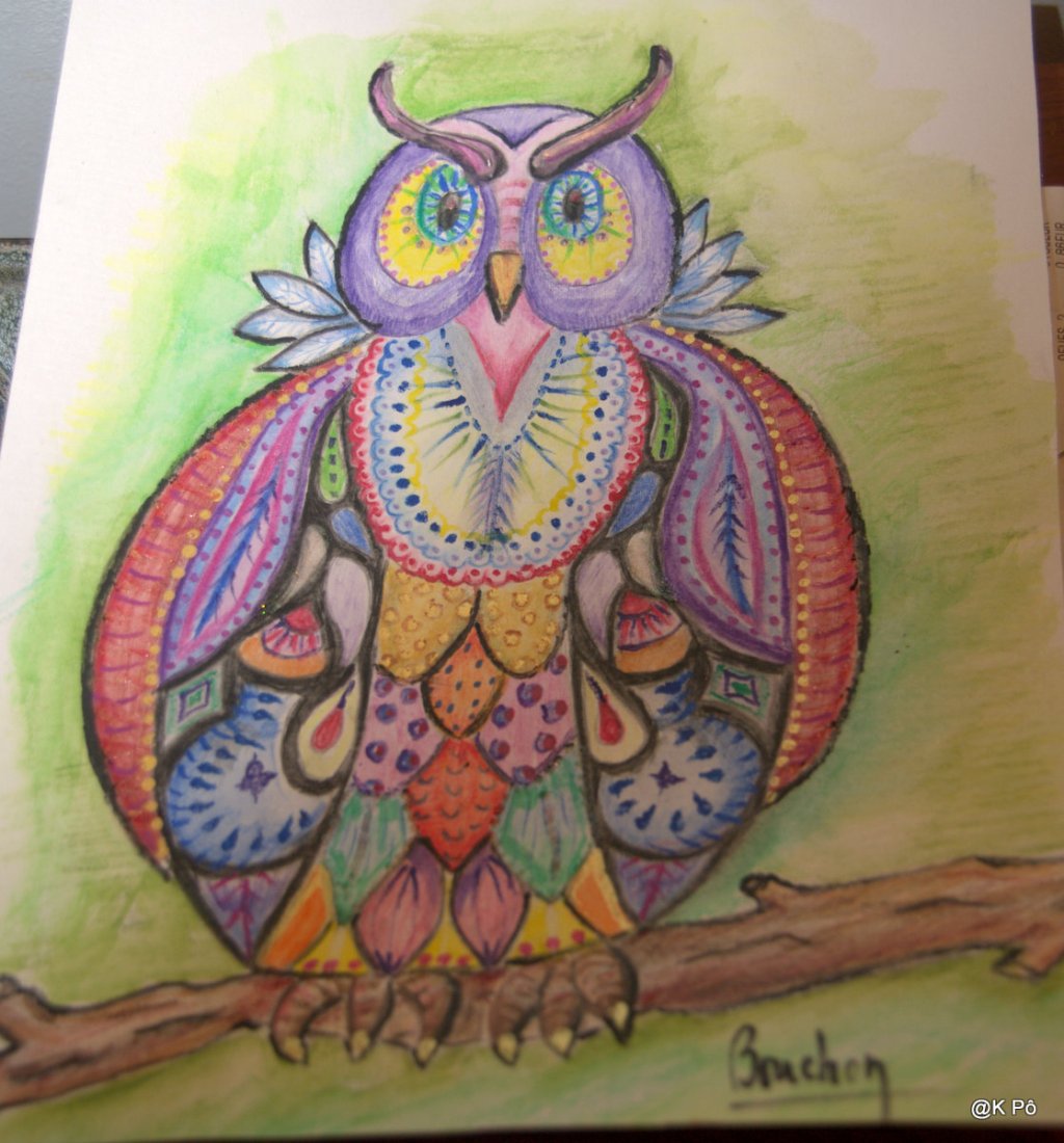 les petits crobards du dimanche soir : la  chouette de&nbsp;Bouchon