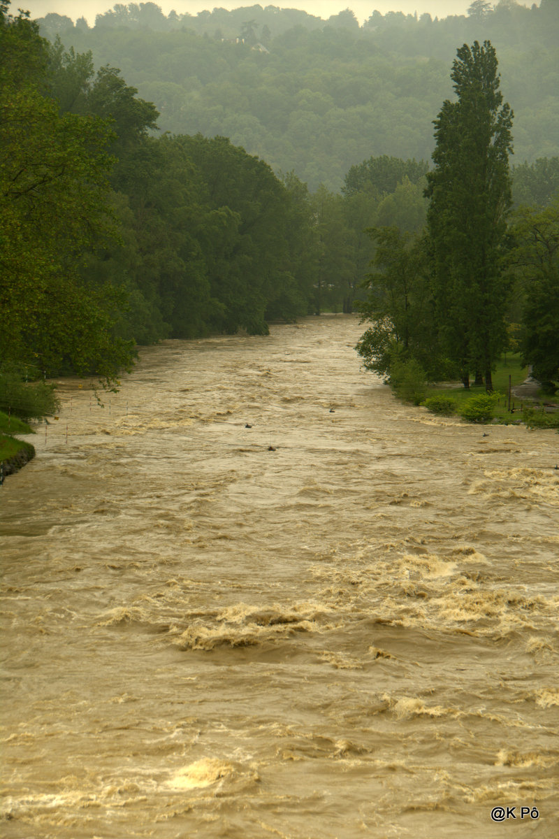 De Desnos à Houston, une histoire d&rsquo;alligators (et des 4&nbsp;bayous)