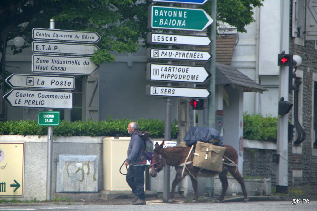 les mardis de la poésie : Verlaine