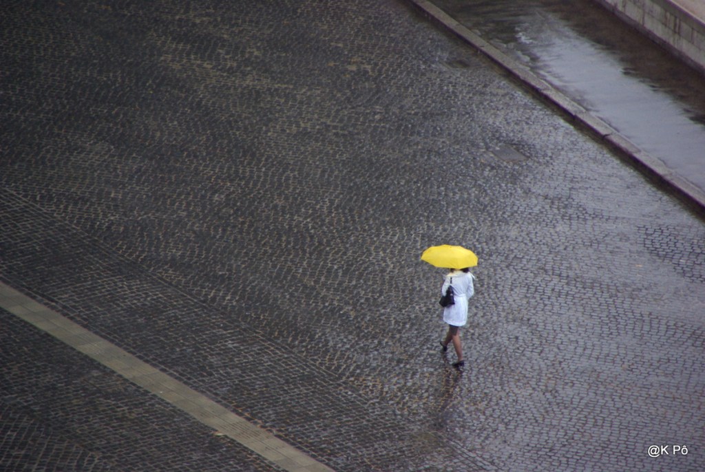 les mardis de la poésie : Aimé Césaire