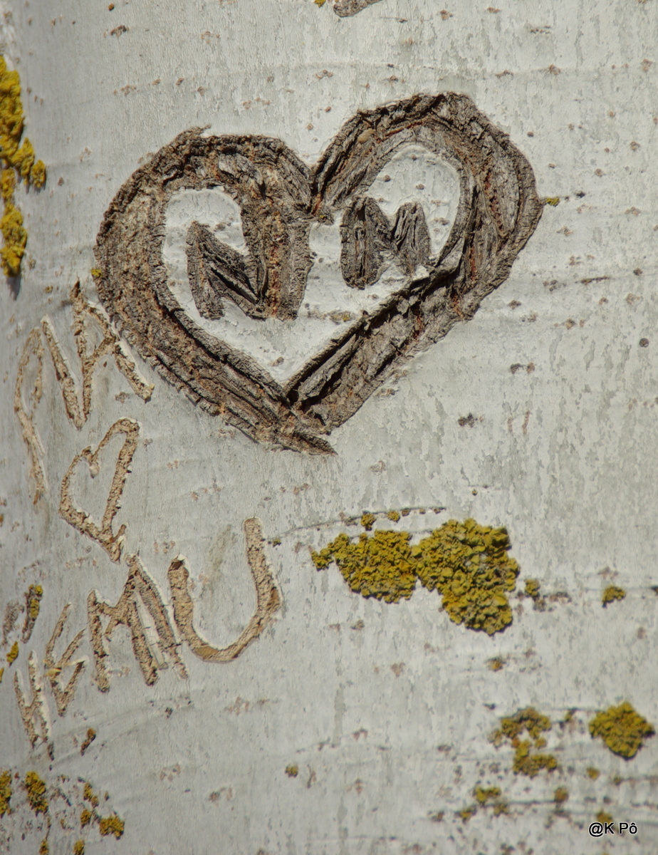 L&rsquo;homme, l&rsquo;arbre et l&rsquo;étrange bête (qu&rsquo;on appelait le&nbsp;Bonheur)