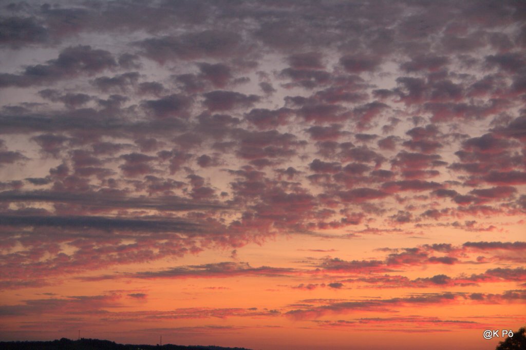 prisonniers de l’inutile (Gérard Manset)