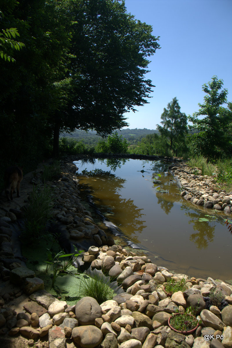 Au bord de l’eau fondent les larmes