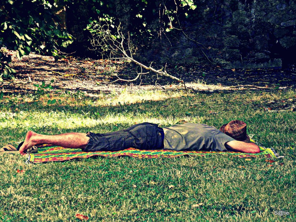 chevaux sauvages…et pierres qui roulent sous leurs sabots.