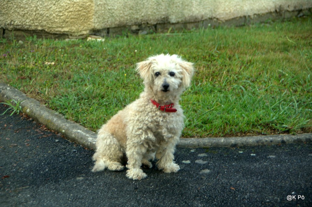 Nous verrons…un monde aveugle