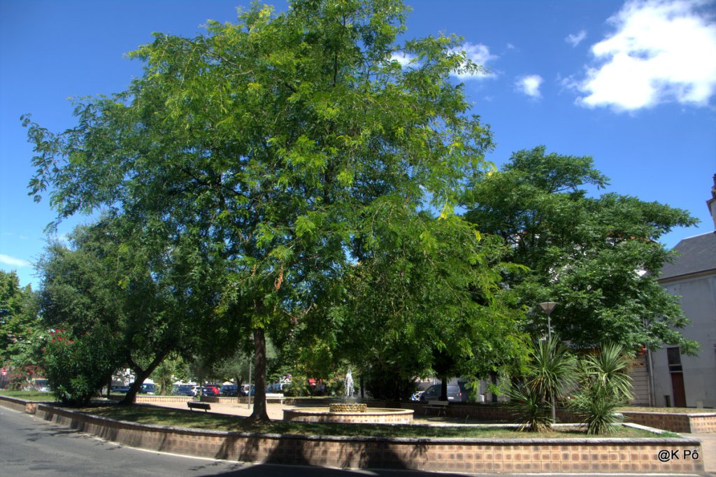 « sinkhole », késaco ? eh bien, c’est ça :