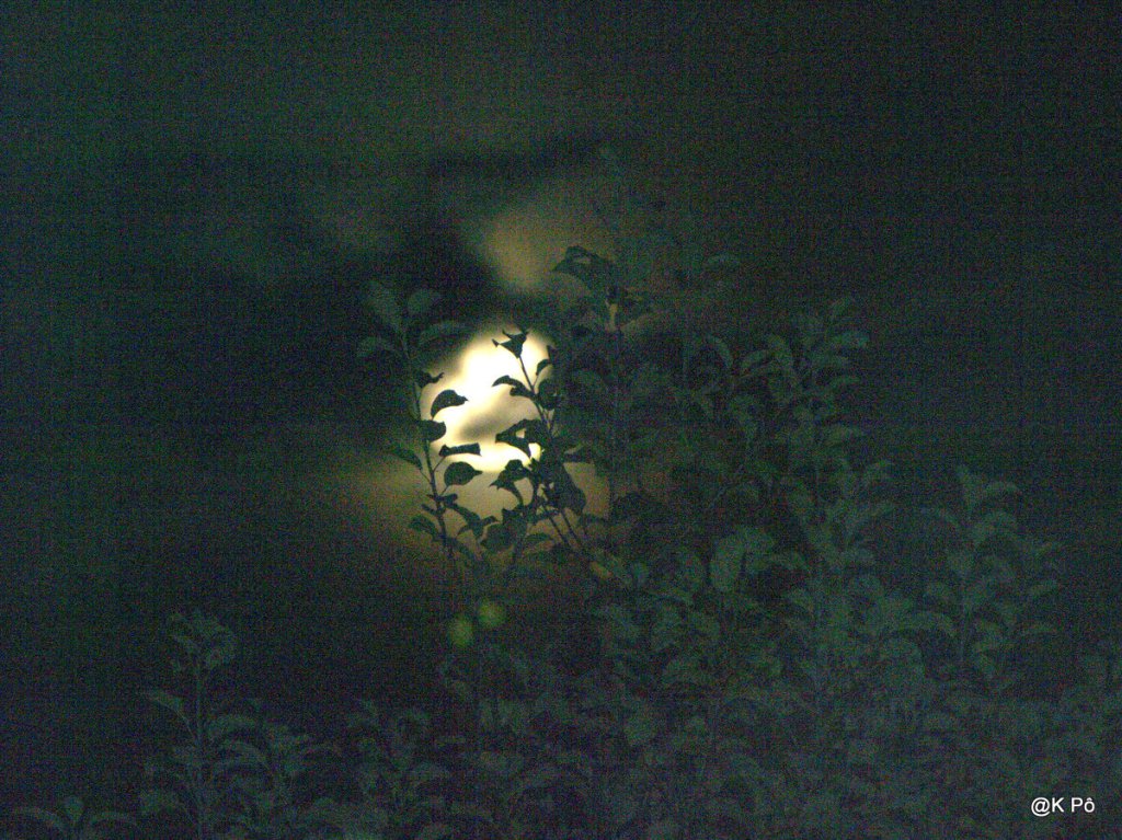 Luminaris, de Juan Pablo Zaramella (Annecy&nbsp;2011)