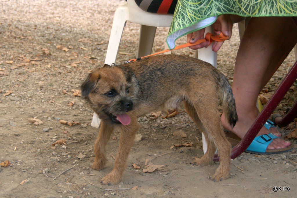 Lou Reed, lost in the wild&nbsp;side…