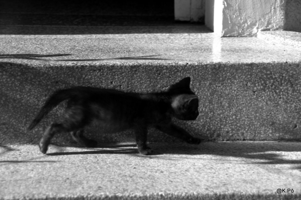 Edith Piaf, 10 octobre 1963 : porte ouverte sur l&rsquo;Eternité