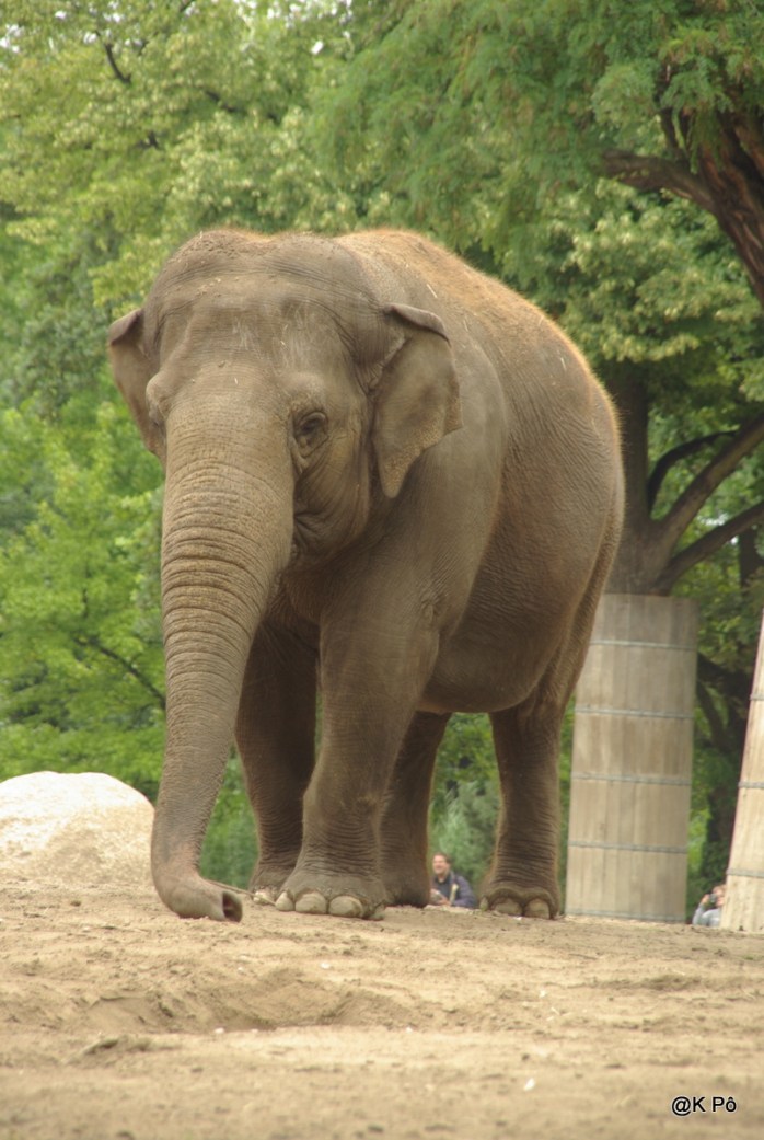 RETOUR BERLIN210708 (20)