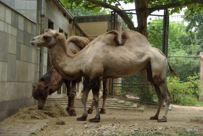 RETOUR BERLIN210708 (30)