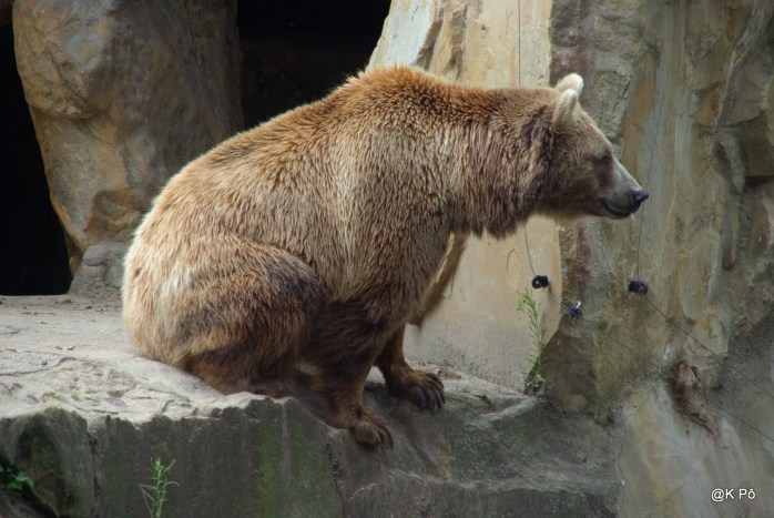 RETOUR BERLIN210708 (34)