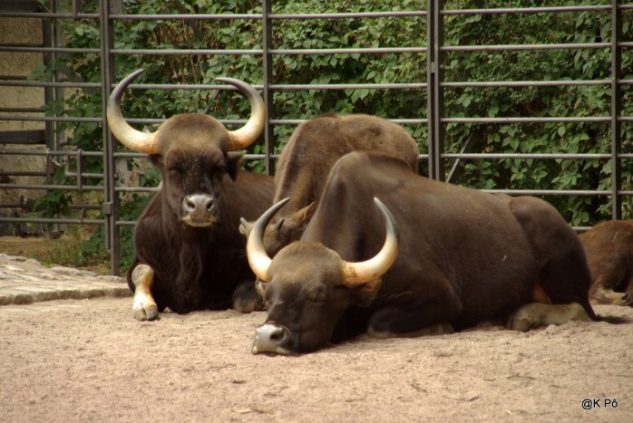 RETOUR BERLIN210708 (56)