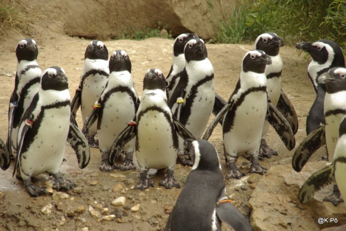 RETOUR BERLIN210708 (59)