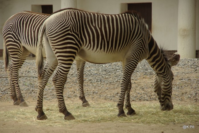 RETOUR BERLIN210708 (67)