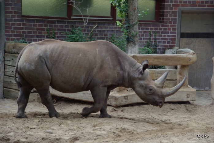 RETOUR BERLIN210708 (69)