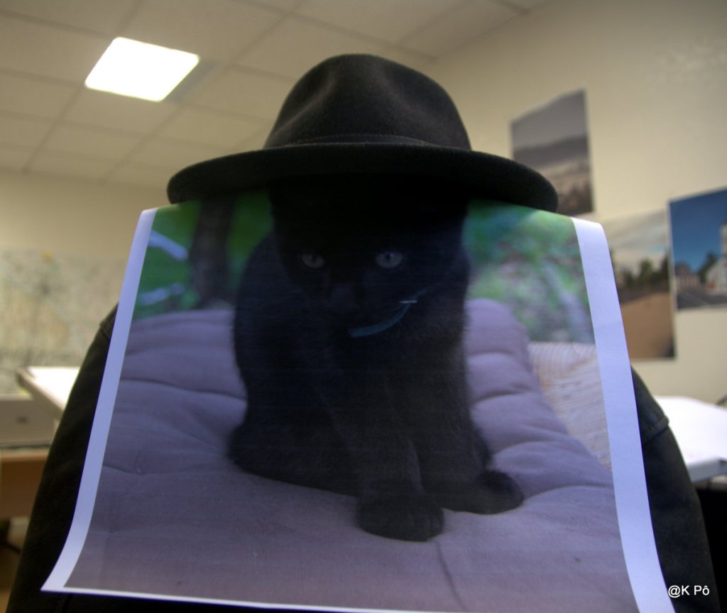 Al Capone le chat, mesurer la hauteur d&rsquo;un immeuble avec un baromètre (la chronique savoureuse d&rsquo;Etienne Klein sur&nbsp;FC)