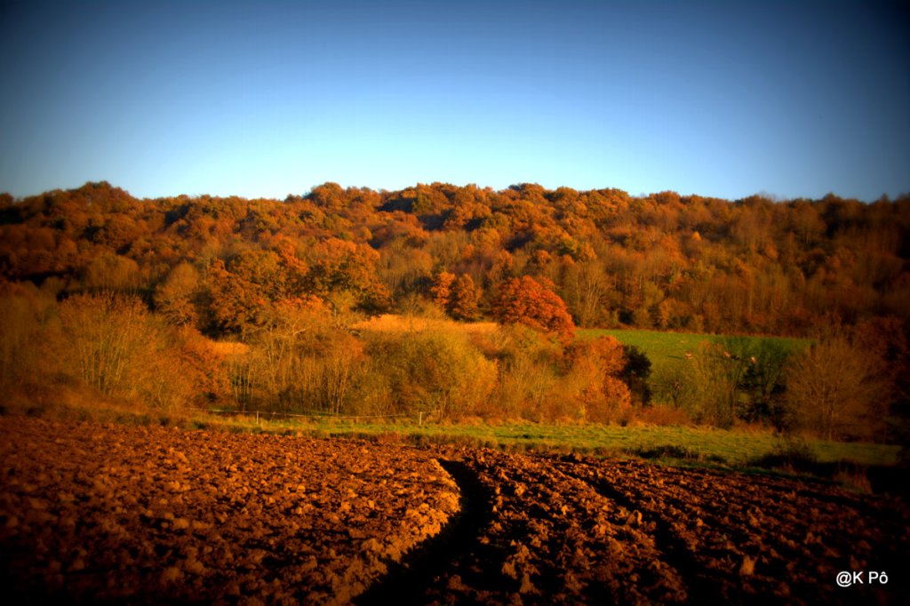 SNCF : une chronique savoureuse d’Hubert Huertas (France Culture du jour)