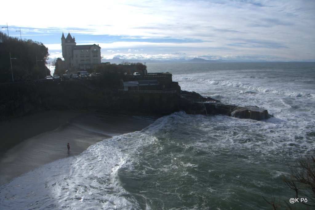 les mardis de la poésie : Sonia&nbsp;Elvireanu