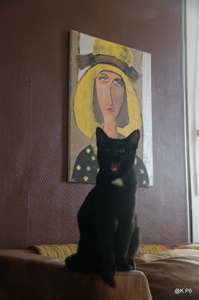 « Iraniennes en liberté » de Negar YAGHMAIAN (photographe)…