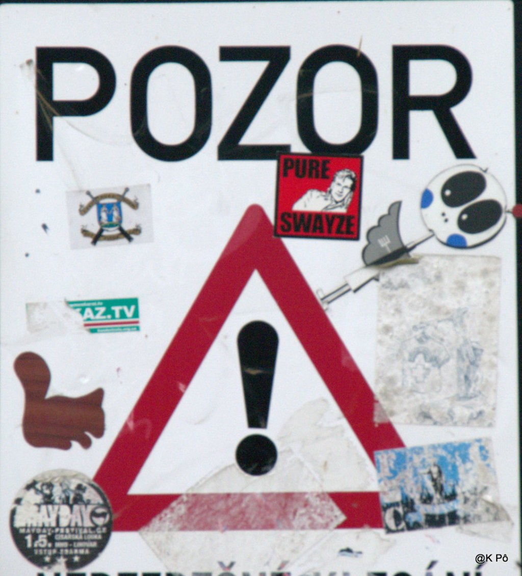 les habitants des Pyrénées sont-ils des ours en peluche?