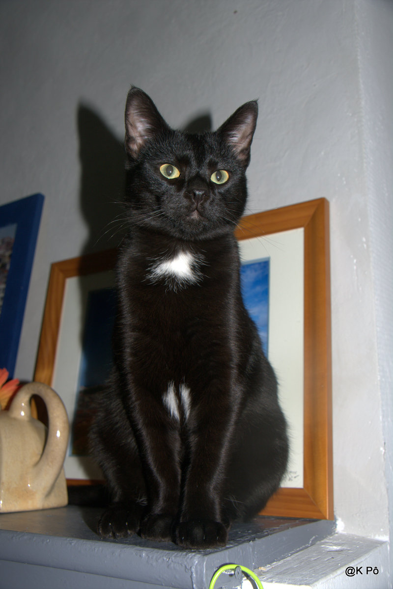 un récit très kakigori (suite et fin)