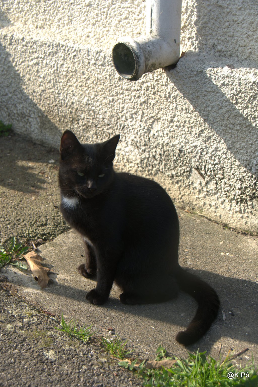 Aujourd&rsquo;hui sont passés à la&nbsp;maison…